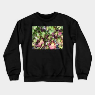 Fall colours and patterns on the vineyard leaves. Crewneck Sweatshirt